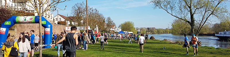 Seligenstädter Panorama